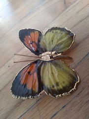 Vintage Butterfly Brooch 2 Inches Yellow Orange Gold Dipped Edging