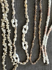 Lot of 10 Vintage Cowrie Puka Necklaces Shell Seashell Boho Beach Wedding Party