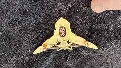Antique French Art Nouveau Real Scarab Pendant