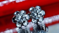 14k white gold earrings 0.50ct natural diamond screwback flower stud 1.95g N3762