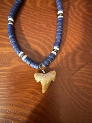 Fossil Shark Tooth 0.65” Possible Sand Tiger Wire Wrapped Blue Shell Necklace