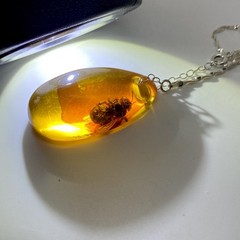 Splendid Amber Pendant with chain shaped like a Drop Bee