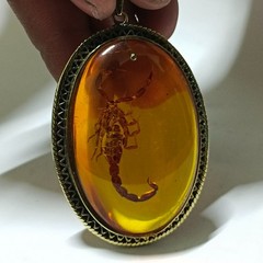 Amber scorpion pendant, natural insect fossil, vintage archaeological jewelry