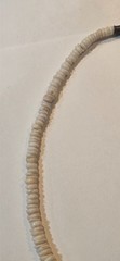 Vintage 1970s Authentic Puka Shell Necklace