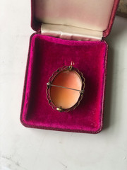 Beautiful Shell Cameo Brooch / Pendant , Vintage or Antique, Filagree Bezel