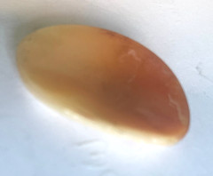 Vintage Shell Cameo 40 mm X 30 mm Loose No Setting