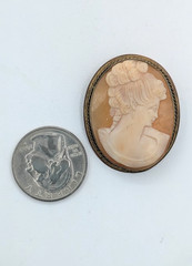Vintage Shell Cameo Brooch Pendant Hand Carved Lady Portrait Gold Tone