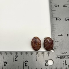 Beautiful vintage petrified wood natural stone clip earrings