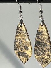 Natural Dendritic Fern Agate French Wire Flat Pull Drop Earrings lightweight