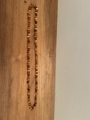 Vintage Baltic Honey Amber Polished Graduated Oval Bead Necklace 17 Inches Long