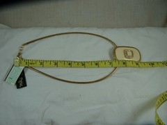 Birch Hill Pendant Crystal Embellished Enamel Gold Choker Necklace 21″ NWT
