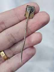 Antique Peacock Stick Pin Goldtone Untested
