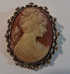 Gerry’s Signed Vintage Faux Resin Cameo Framed Woman Brooch Pin Pendant
