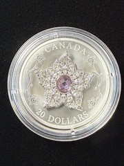 2025 Canada Williamson Diamond Brooch 1oz Silver Box & COA Item #334