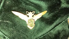 Antique French Art Nouveau Real Scarab Pendant