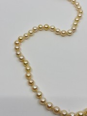 8mm Baroque Light Golden Cream Japanese Saltwater Akoya Pearl Necklace 34.5″