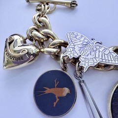 Juicy Couture Charm Bracelet Bird Butterfly Coin Heart Wooden Monogram