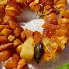 Vintage Baltic Amber Necklace 15.5” Choker Natural Raw Freeform Amber Beads