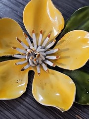 Vintage Brooch 5 Leaf Bloom – No Brand