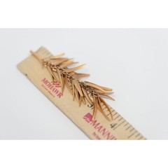 Rivka Friedman Gold Tone chili Feather cascading Dangle Earrings satin brushed