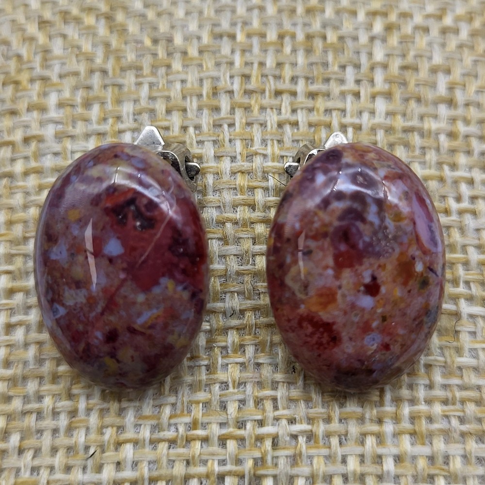 Beautiful vintage petrified wood natural stone clip earrings