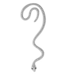 Gorgeous Snake-shaped Earrings No Pierced Earrings Cartilage Earrings Jewerly