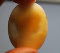 3 Antique Loose Shell Cameo With Warm Peach & White Tones LOT