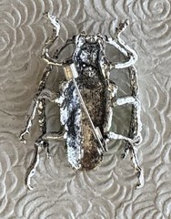 Beetle Insect enamel on silver tone metal