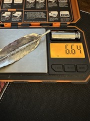 Vtg Stuart Nye Sterling Silver 925 Single Feather Brooch, 3.5in