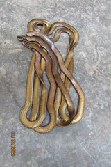 vintage copper tone double ladies necklace herringbone