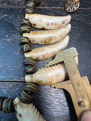 Vintage Nepal Shell Tusk Necklace • Himalayan Tribal Statement Necklace • Handc