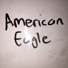 American Eagle Charm Necklace Gold Tone Faux Pearl Acrylic Statement Vintage Y2K