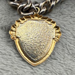 Vintage Charm Bracelet Gold Tone Chicago Illinois 6.5”