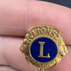 Vintage Lions Pin