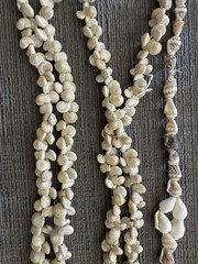 Lot of 10 Vintage Cowrie Puka Necklaces Shell Seashell Boho Beach Wedding Party