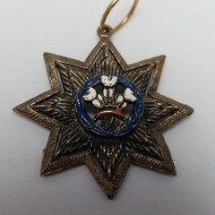 Vintage Prince of Wales Logo Enamel 8 Pointed Star Medallion Pendant Bronze Tone
