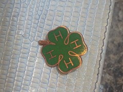 Rare 4H Solid 10K And Green Enamel Pin Marked And Tested 2.64 G
