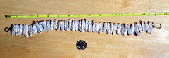 ~14.5 INCH OBLONG NATURAL WITH IMPERFECTIONS PEARL STERLING SILVER NECKLACE X13L