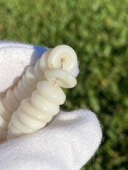 Vintage Hawaiian Surfer Puka Shell Bead Necklace 15 Inch Graduated up to 12+mm