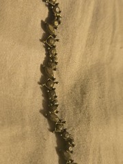 Vclm Vintage Necklace And Earrings Set
