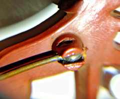 1942 Pat. # 133919 Signed Celluloid Horse & Buggy Brooch Uncas MFG Co.