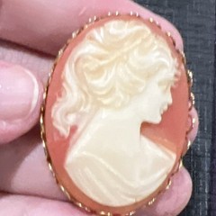 Vintage Cameo Brooch 1.5 In