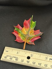 Vintage Enamel Maple Leaf Brooch Pin Colorful Autumn Fall Foliage Gold Tone