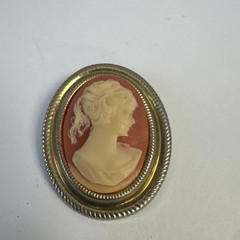 Vtg Resin Coral Cameo Brooch Pin Lady Profile Gold Tone Filigree Oval Setting