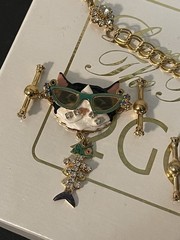 LATR 2GO Interchangeable Charm Bracelet (Glamour Puss & RARE Ladybug) 7.5”