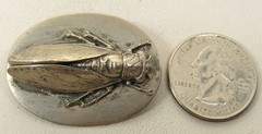 Vintage Silver Tone 3-Dimensonal Cicada Oval disk Pin/Brooch 1-1/2″ x 1-1/8″