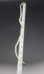 Vintage White & Pink Graduated Heishi Puka Shell Beaded Necklace 15.5 in