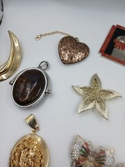 Mixed Jewelry Lot of Dragon Fly. Pendant. Butterfly Brooch Pin.