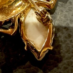 Jomaz Gold and white wings Fruit Salads Bug fly beautiful and rare!!