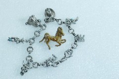Vintage Brown Enamel Prancing HORSE 1″ Pin Brooch & Western Theme Charm Bracelet
